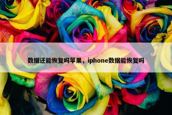 数据还能恢复吗苹果，iphone数据能恢复吗