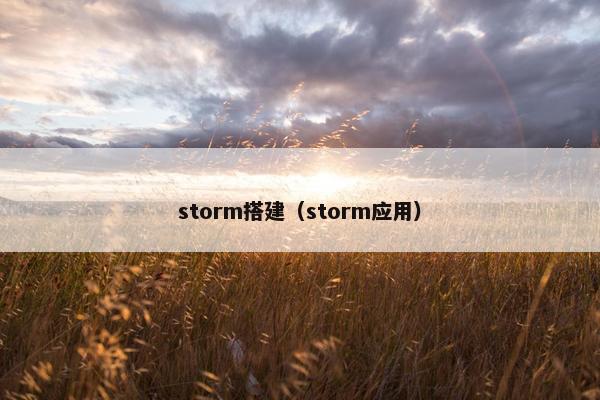 storm搭建（storm应用）