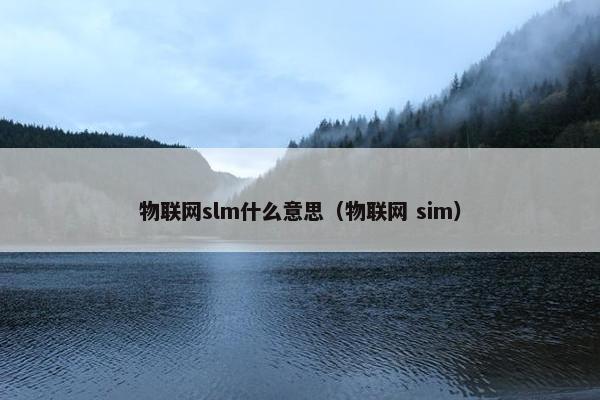物联网slm什么意思（物联网 sim）