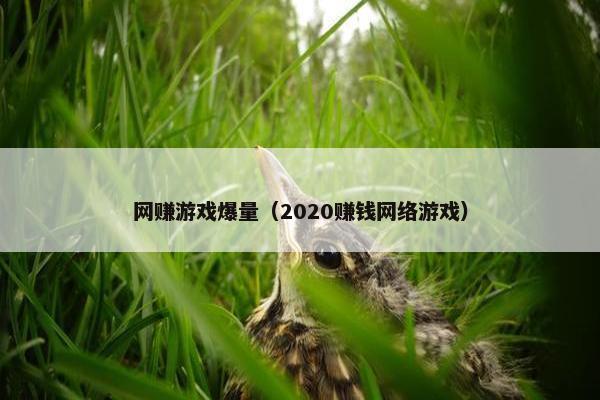 网赚游戏爆量（2020赚钱网络游戏）