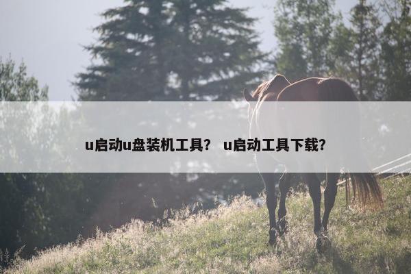 u启动u盘装机工具？ u启动工具下载？