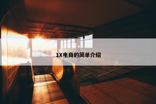 1X电商的简单介绍