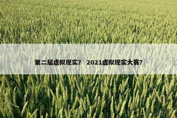 第二届虚拟现实？ 2021虚拟现实大赛？