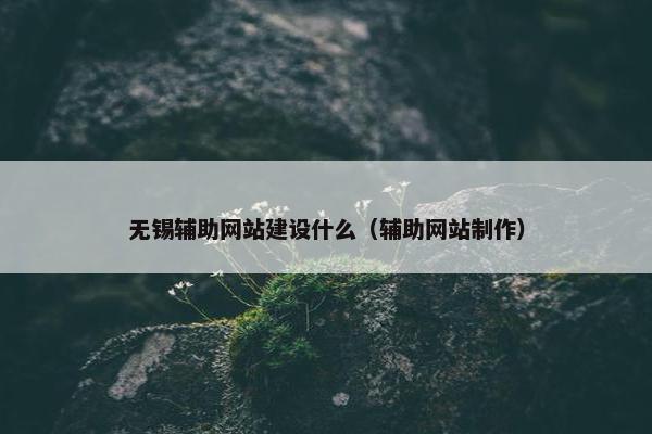 无锡辅助网站建设什么（辅助网站制作）