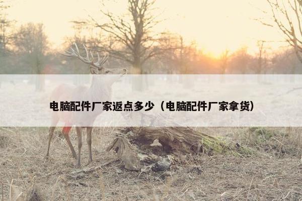 电脑配件厂家返点多少（电脑配件厂家拿货）