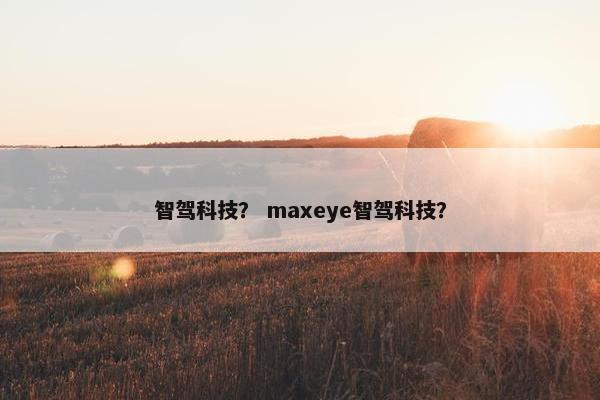 智驾科技？ maxeye智驾科技？
