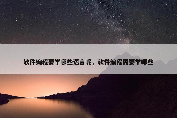 软件编程要学哪些语言呢，软件编程需要学哪些