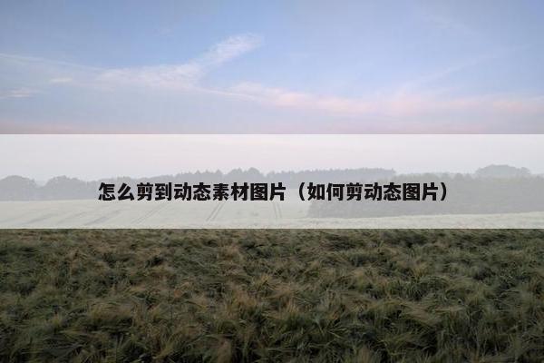 怎么剪到动态素材图片（如何剪动态图片）