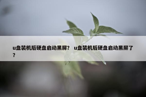 u盘装机后硬盘启动黑屏？ u盘装机后硬盘启动黑屏了？