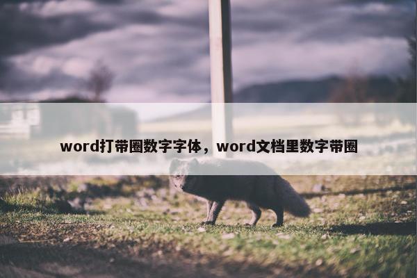 word打带圈数字字体，word文档里数字带圈