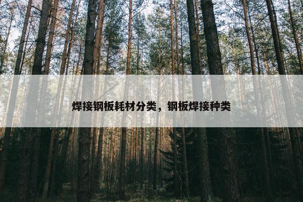 焊接钢板耗材分类，钢板焊接种类