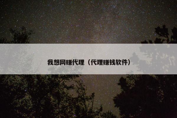 我想网赚代理（代理赚钱软件）