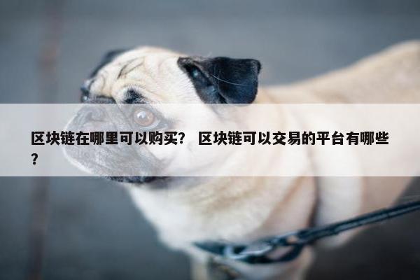 区块链在哪里可以购买？ 区块链可以交易的平台有哪些？