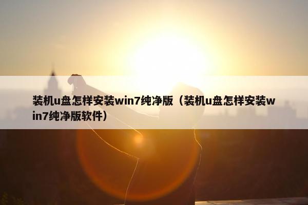 装机u盘怎样安装win7纯净版（装机u盘怎样安装win7纯净版软件）
