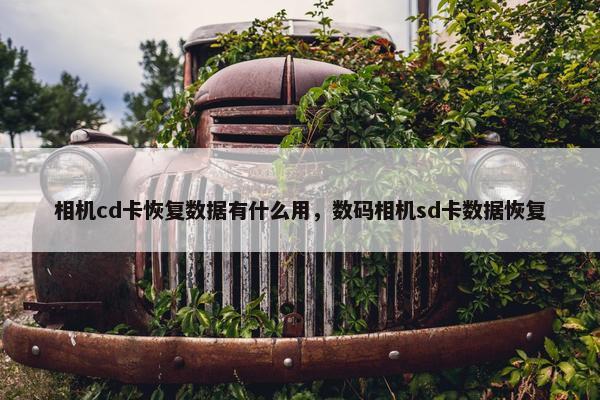 相机cd卡恢复数据有什么用，数码相机sd卡数据恢复