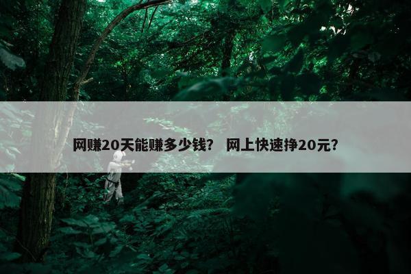 网赚20天能赚多少钱？ 网上快速挣20元？