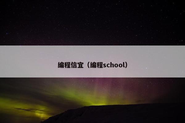 编程信宜（编程school）