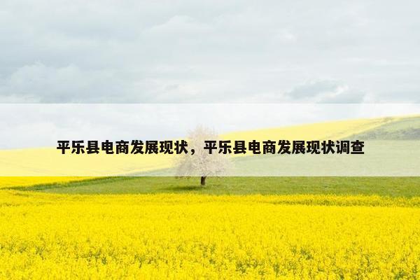 平乐县电商发展现状，平乐县电商发展现状调查