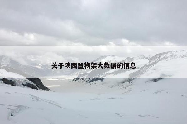 关于陕西置物架大数据的信息