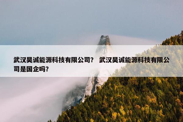 武汉昊诚能源科技有限公司？ 武汉昊诚能源科技有限公司是国企吗？