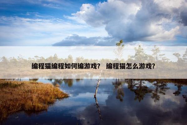 编程猫编程如何编游戏？ 编程猫怎么游戏？
