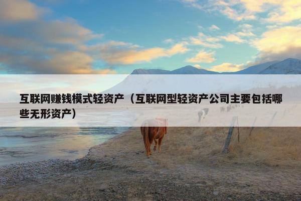 互联网赚钱模式轻资产（互联网型轻资产公司主要包括哪些无形资产）