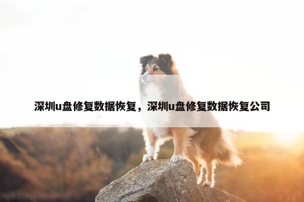 深圳u盘修复数据恢复，深圳u盘修复数据恢复公司