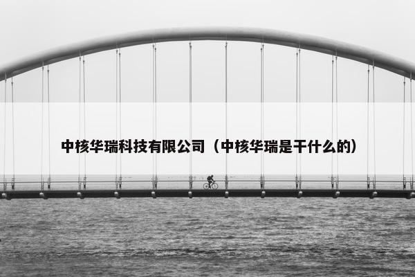 中核华瑞科技有限公司（中核华瑞是干什么的）
