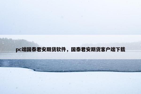 pc端国泰君安期货软件，国泰君安期货客户端下载