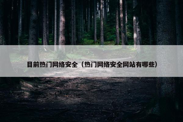 目前热门网络安全（热门网络安全网站有哪些）
