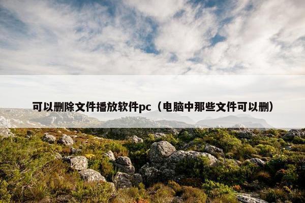 可以删除文件播放软件pc（电脑中那些文件可以删）