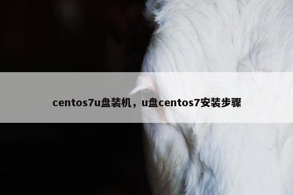 centos7u盘装机，u盘centos7安装步骤