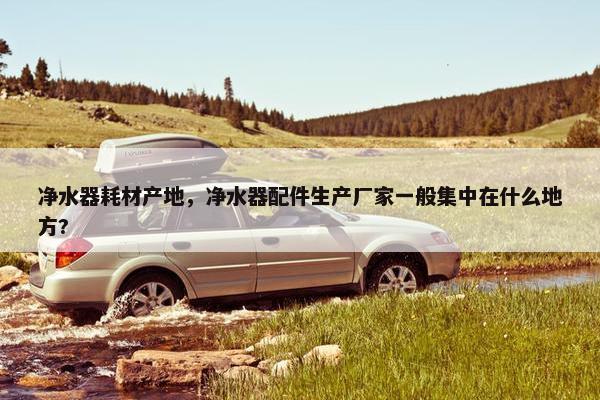 净水器耗材产地，净水器配件生产厂家一般集中在什么地方?