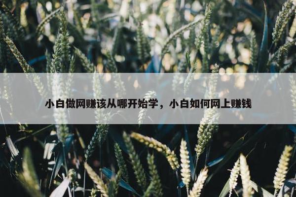 小白做网赚该从哪开始学，小白如何网上赚钱