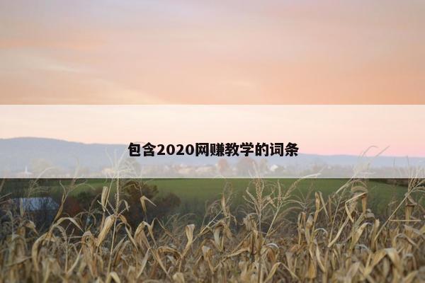 包含2020网赚教学的词条