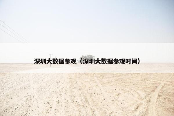 深圳大数据参观（深圳大数据参观时间）