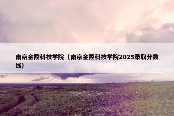 南京金陵科技学院（南京金陵科技学院2025录取分数线）