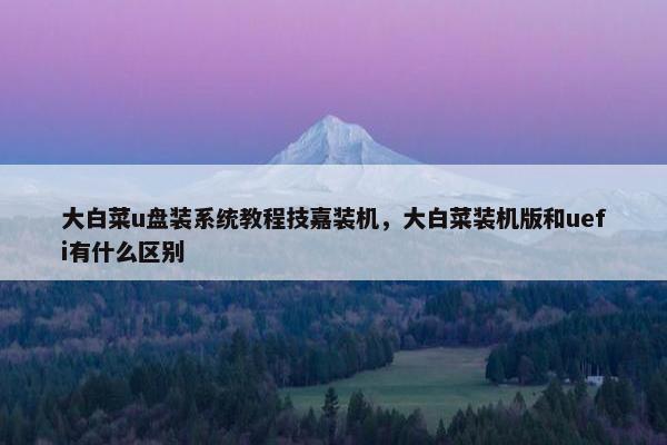 大白菜u盘装系统教程技嘉装机，大白菜装机版和uefi有什么区别