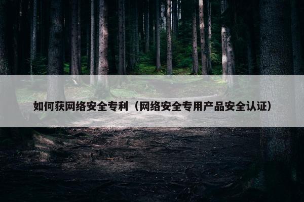 如何获网络安全专利（网络安全专用产品安全认证）