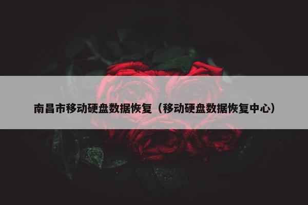 南昌市移动硬盘数据恢复（移动硬盘数据恢复中心）