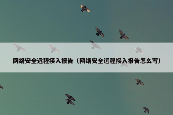 网络安全远程接入报告（网络安全远程接入报告怎么写）