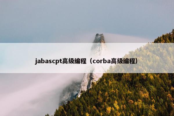 jabascpt高级编程（corba高级编程）
