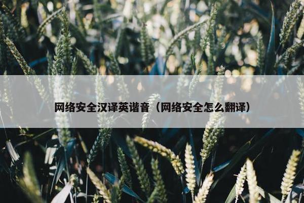 网络安全汉译英谐音（网络安全怎么翻译）