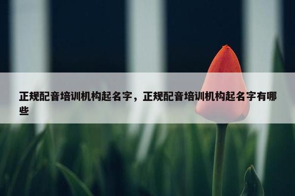正规配音培训机构起名字，正规配音培训机构起名字有哪些