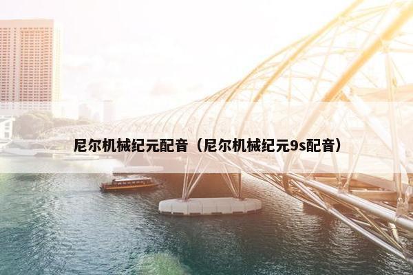 尼尔机械纪元配音（尼尔机械纪元9s配音）