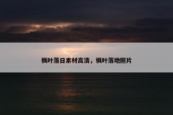 枫叶落日素材高清，枫叶落地照片