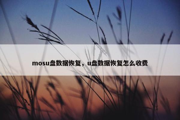mosu盘数据恢复，u盘数据恢复怎么收费
