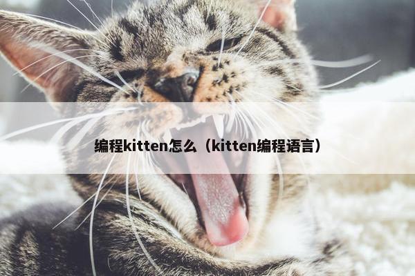 编程kitten怎么（kitten编程语言）