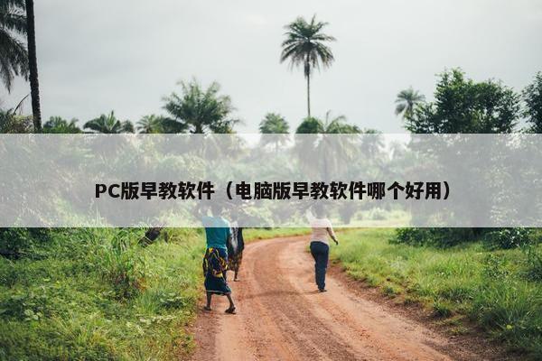 PC版早教软件（电脑版早教软件哪个好用）
