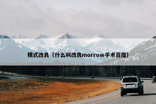 模式改良（什么叫改良morrow手术百度）